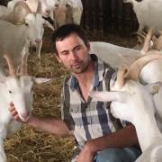 antoine-fromagechevre