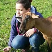 charlotte-fromage-chevre-bio-grattery